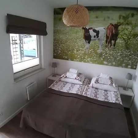 Apartament Fun
