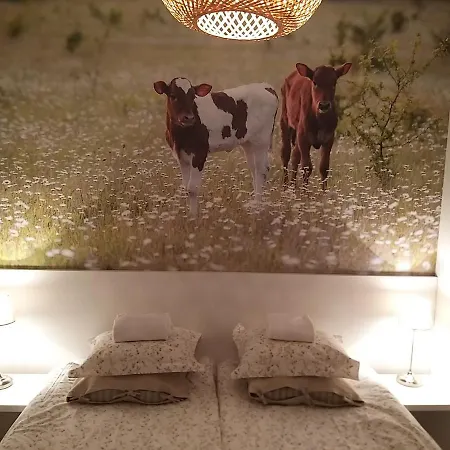 Fun Apartamento